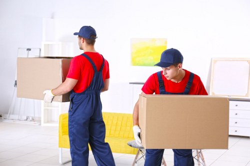 Local removal van and moving boxes for Belvedere home relocations