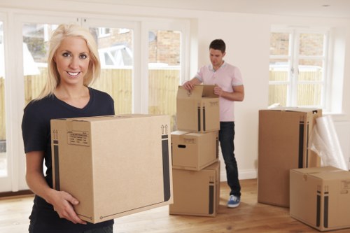 Man with a van service for local moves in Belvedere