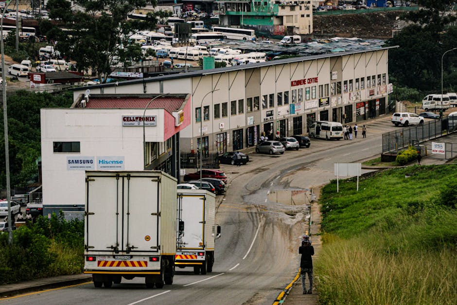 A man with curly hair and medium skin tone, dressed in a blue shirt and dark pants, is sitting on a wooden floor inside a residential property, surrounded by several cardboard boxes with red packing tape. The boxes are placed near a large window with an arched top, allowing natural light to fill the room and offering a view of parked cars and trees outside. A tall potted plant with broad green leaves is positioned to the right of the man, near the wall. The scene appears to capture a moment during home relocation or packing and moving process, with the man taking a break in a room that is ready for furniture transport. The environment suggests a sunny day, and the interior features minimal furnishings, focusing on the packing materials and the moving activity related to house removals facilitated by Man with Van Belvedere.