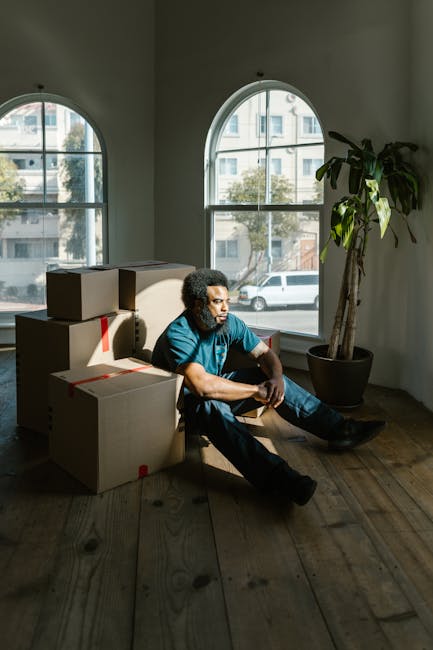 A man with curly hair and medium skin tone, wearing a blue t-shirt and dark jeans, is sitting on a wooden floor inside a room with white walls and large arched windows. He is surrounded by several cardboard moving boxes, some of which are sealed with red packing tape, indicating recent packing for a home relocation. The room is illuminated by natural light coming through the windows, revealing a city street with parked cars and multi-storey buildings outside. A tall potted plant with broad green leaves is positioned near the right side of the image, adding a touch of greenery to the interior. The man appears to be taking a break during a house move, and the scene reflects the packing and moving process associated with professional removals services, such as those offered by Man with Van Belvedere.
